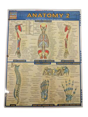 Anatomy 2 Basic Ref Card