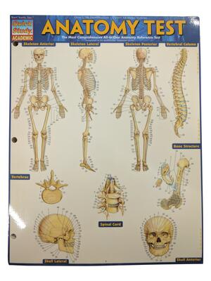Anatomy Test Ref Card